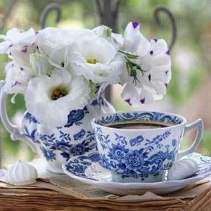 Meet your Posher, Annie